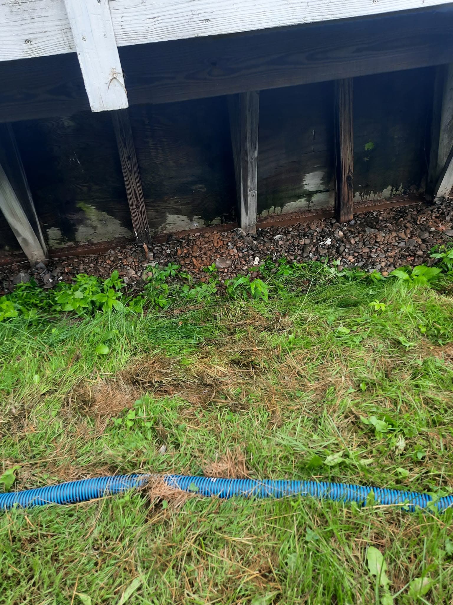 Repaired pool wall structure beneath the releveled deck